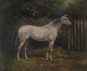 Pickles : un poney basuto, c.1904 - William Josiah Redworth