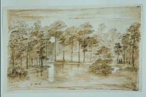 Conception pour le jardin aquatique boisé, vu au clair de lune