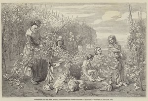 Exposition de la Nouvelle Société des Peintres en Aquarelle, Hoppers