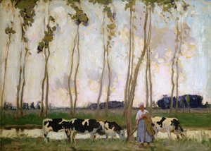 Paysage breton