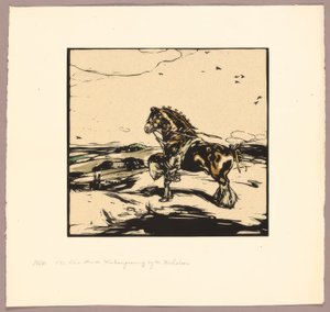 Le cheval Shire