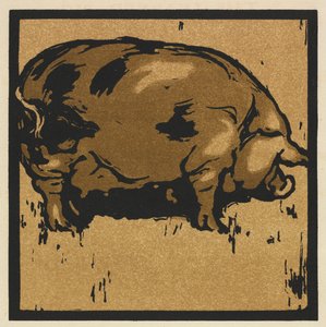 Le Livre Carré des Animaux : Le Cochon Savant - William Nicholson