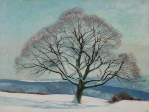 Arbre en hiver
