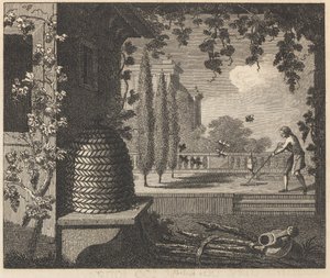 Les abeilles dégénérées