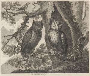 Les deux hiboux et le moineau