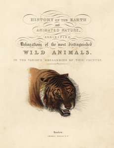 Page de titre calligraphique avec vignette de tigre - William Smellie