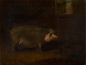 Un cochon dans une porcherie