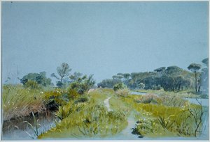 Castel Fusano - près de Rome - William Stanley Haseltine