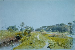 Castel Fusano près de Rome, vers 1885
