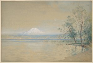  - William Stanley Haseltine