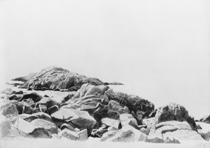  - William Stanley Haseltine