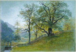  - William Stanley Haseltine