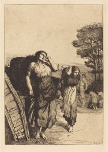 Récolte de pommes de terre