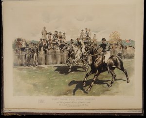 Course de poneys pour le polo