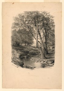 Dessin, piscine dans les bois, 1874 - William Trost Richards