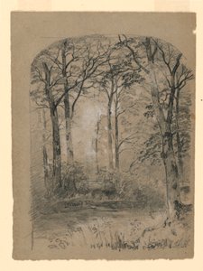 Paysage