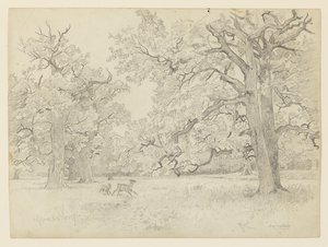 Paysage, Darmstadt, Allemagne