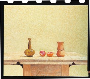 Nature morte avec orange sanguine - William Wilkins