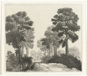 Paysage avec arbres le long d
