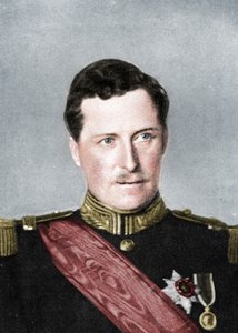 Albert, Roi des Belges, Première Guerre mondiale