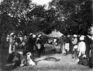 Chasse au tigre en Inde, vers 1870