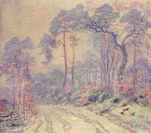 Le chemin à travers le bois