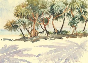 Arbres de paille, Bentota - Wilson Clive