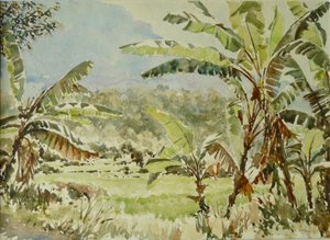 740 bananiers, Ramboda - Wilson Clive