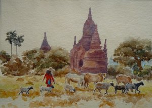 901 Bagan, troupeau parmi les temples - Wilson Clive