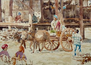 909 Marché de Thaung Tho, retour à la maison - Wilson Clive