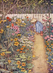 Livre de jardinage pour enfants : une bordure herbacée