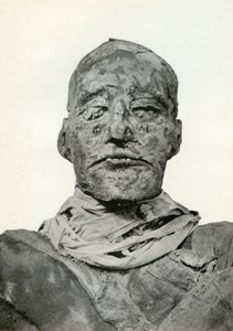 Tête de la momie de Ramsès III, pharaon égyptien de la 20ème dynastie, c1156 av. J.-C. 1926