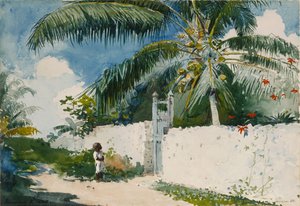 Un jardin à Nassau - Winslow Homer