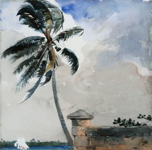 Une brise tropicale, Nassau, 1889-90