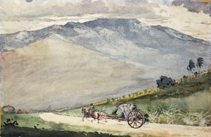 Une Volante sur une route de montagne, Cuba, 1885