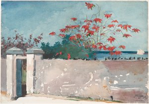 Un mur, Nassau