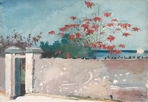 Un mur, Nassau, 1898