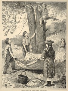 Chestnutting, tiré de Every Saturday : An Illustrated Journal of Choice Reading, 29 octobre 1870 - Winslow Homer