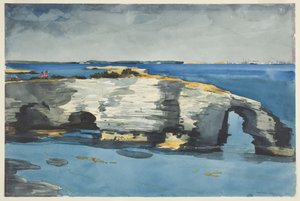 Formation de corail - Winslow Homer