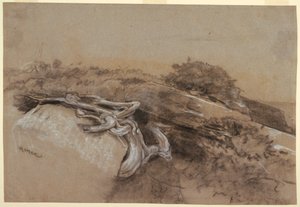 Dessin, étude des racines d