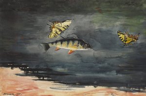 Poissons et papillons, 1900
