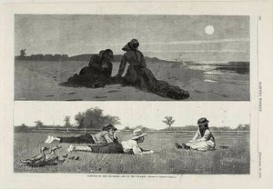 Flirt au bord de la mer et dans la prairie