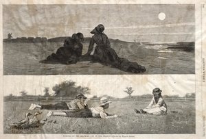 Flirt au bord de la mer et dans la prairie