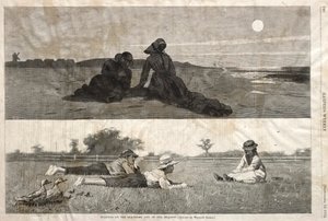 Flirt sur le rivage et dans le pré, 1874