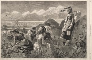 Cueillette de baies, 1874