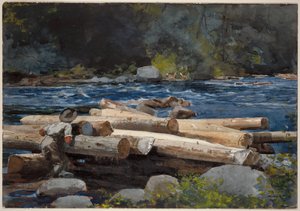  - Winslow Homer