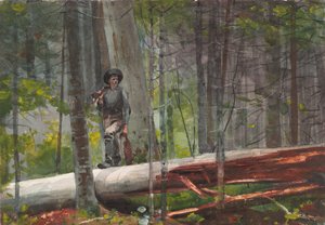  - Winslow Homer