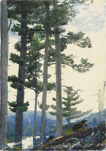 Vieux colons - Winslow Homer