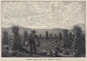 Pumpkins Among the Corn, tiré de Scribner