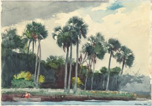 Chemise rouge, Homosassa, Floride